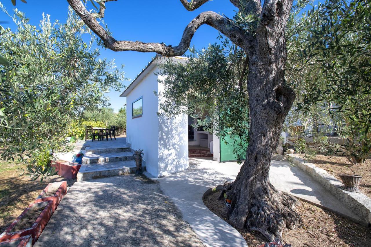 Casa Rina Villa Sassari Exterior photo